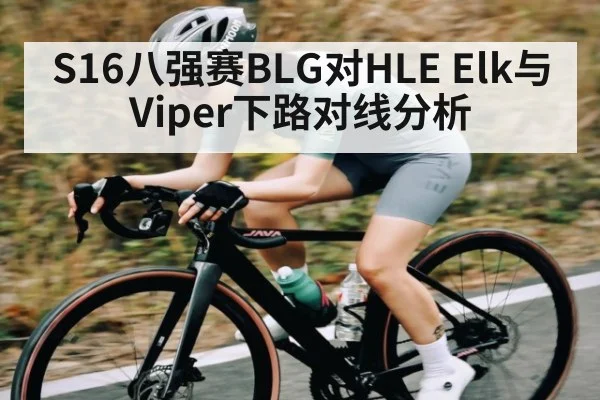 S16八强赛BLG对HLE Elk与Viper下路对线分析